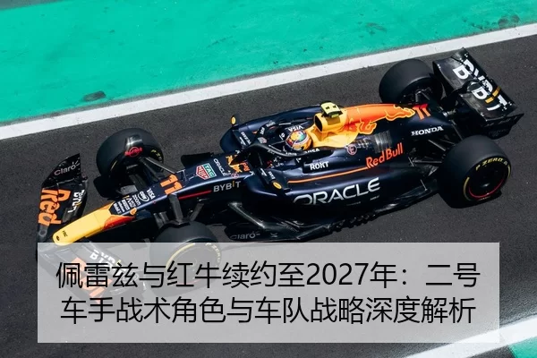 pei-lei-zi-yu-hong-niu-xu-yue-zhi-nian-er-hao-che-shou-zhan-shu-jue-se-yu-che-dui-zhan-lve-shen-du-jie-xi-2-353.jpg