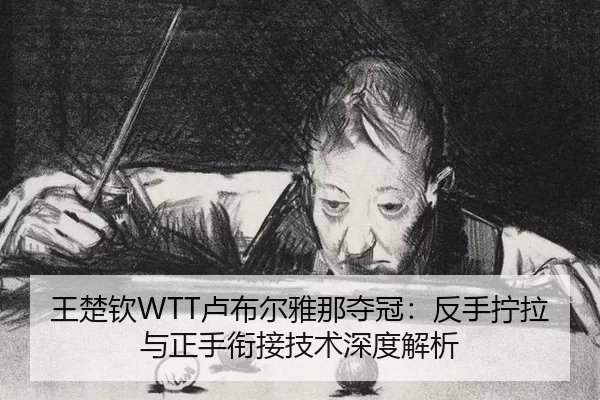 wang-chu-qin-lu-bu-er-ya-na-duo-guan-fan-shou-ning-la-yu-zheng-shou-xian-jie-ji-shu-shen-du-jie-xi-2-608.jpg